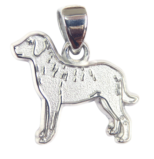 Chesapeake Bay Retriever Charm or Pendant in Sterling or 14K Gold