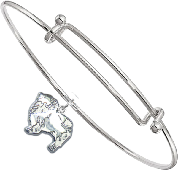 Sterling Silver Keeshond Charm on Bangle Bracelet