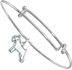 Sterling Silver Standard Schnauzer Charm on Bangle Bracelet